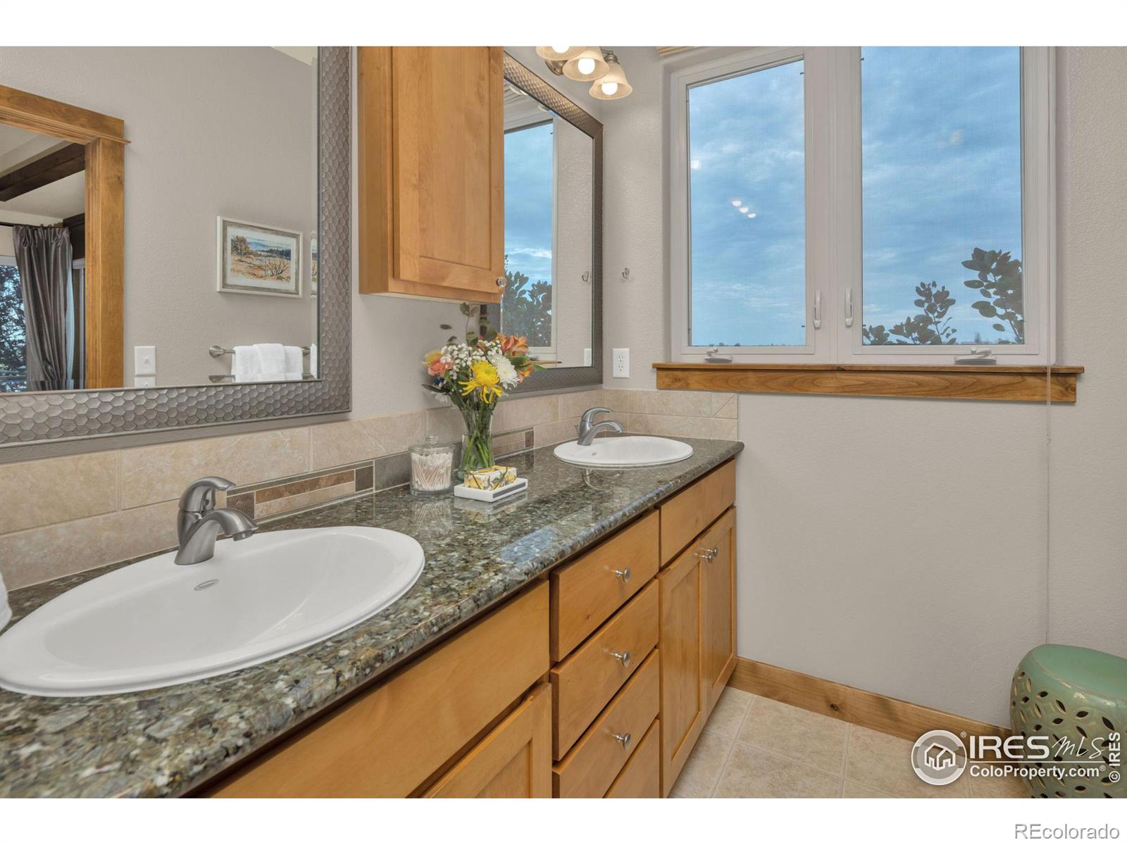 MLS Image #14 for 20184  leola way,eaton, Colorado