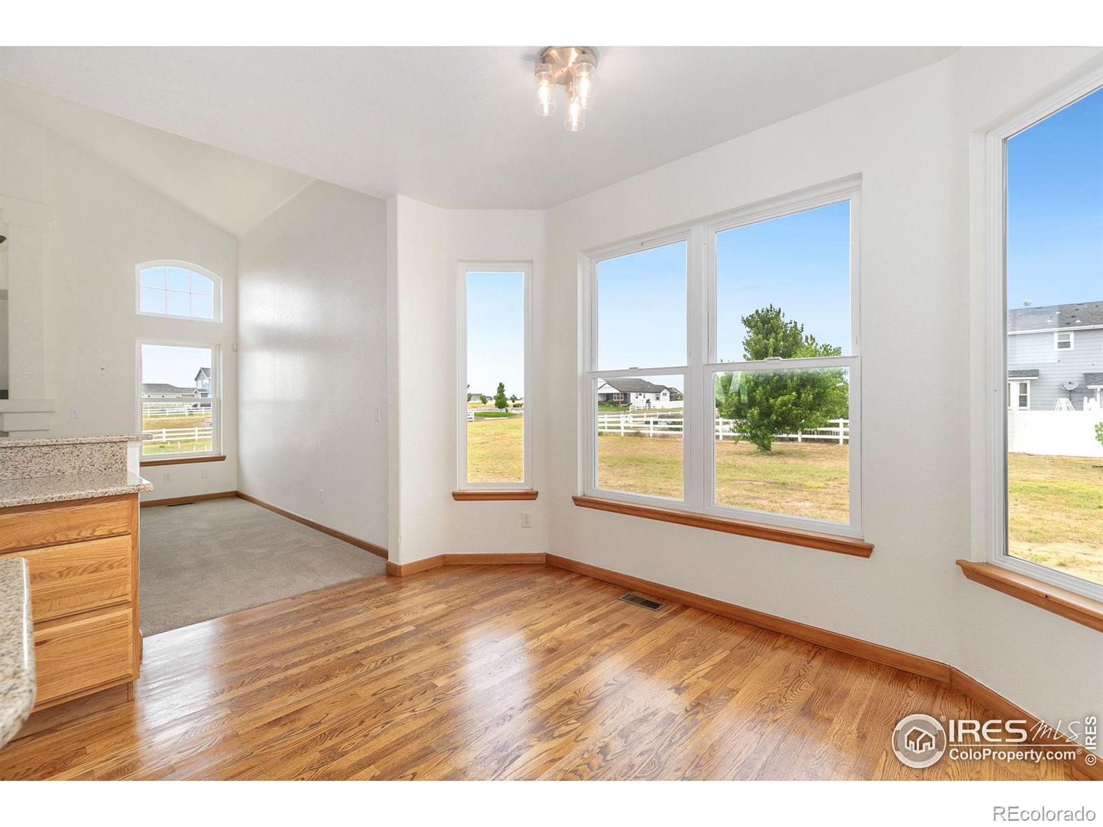 MLS Image #14 for 16161  rayburn street,hudson, Colorado