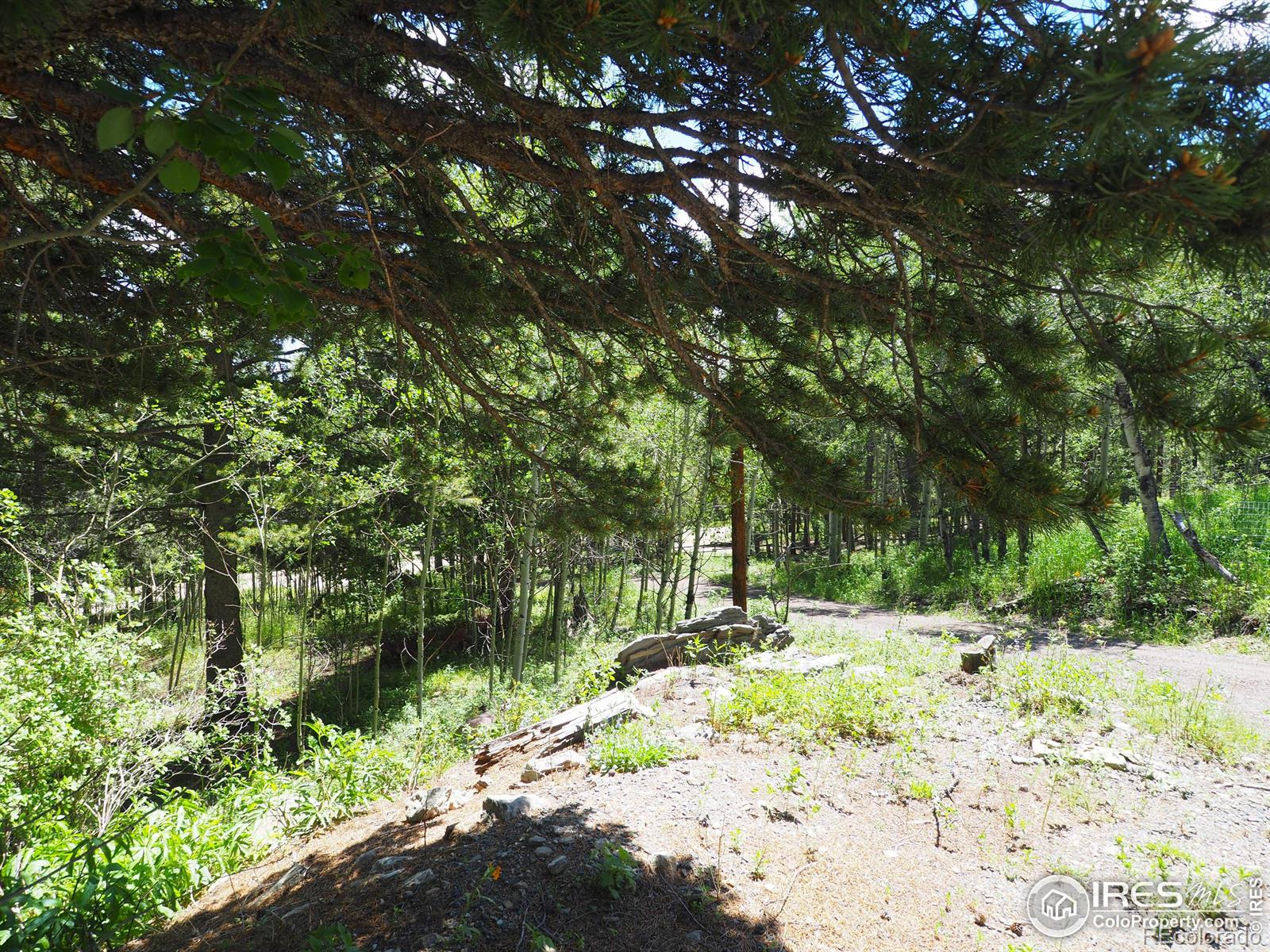 MLS Image #22 for 163  diane avenue,black hawk, Colorado