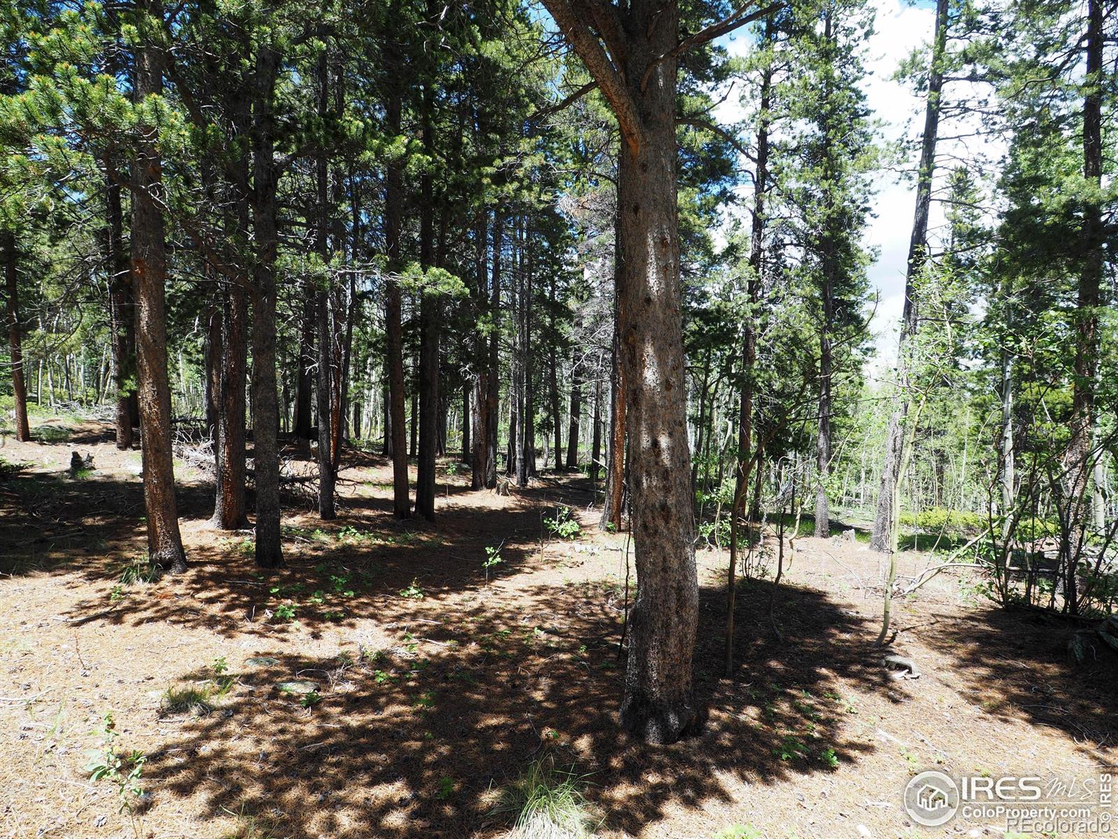 MLS Image #24 for 163  diane avenue,black hawk, Colorado