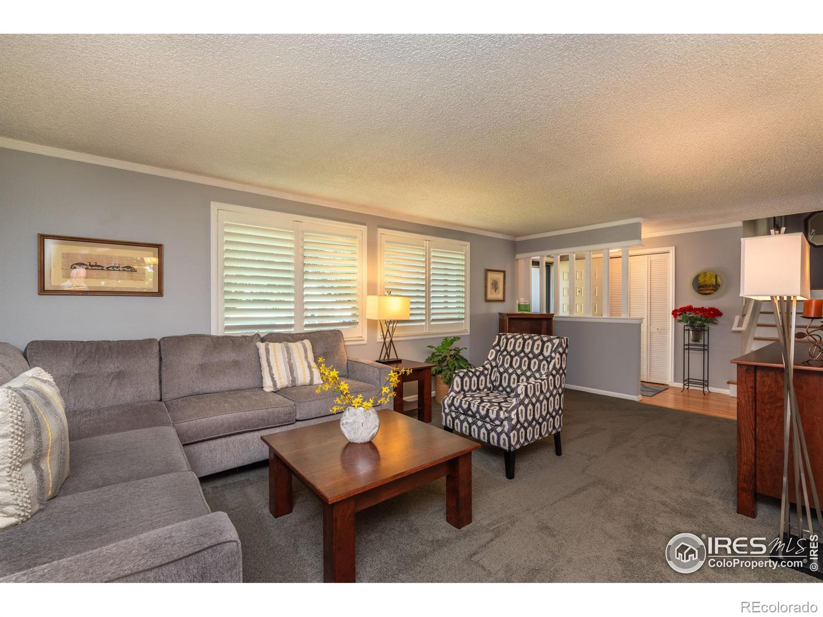 MLS Image #6 for 7340  jay street,arvada, Colorado