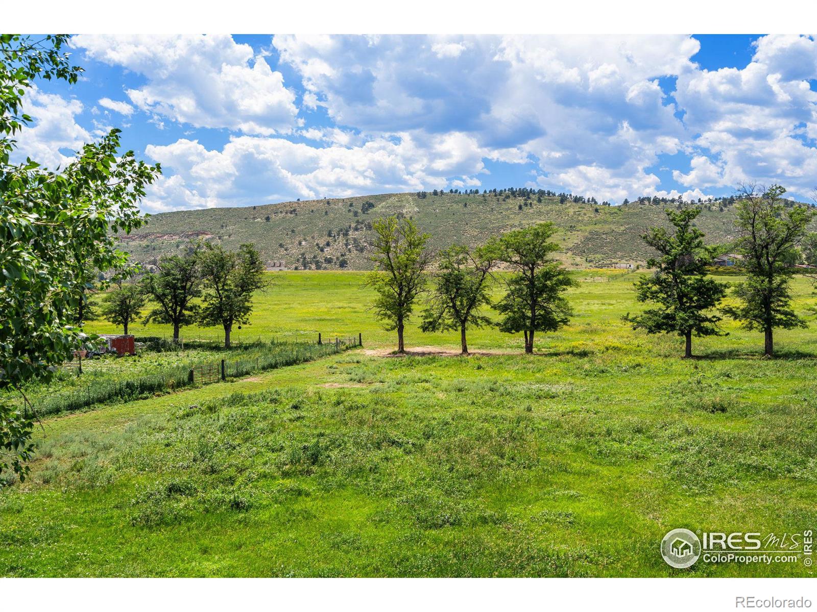 MLS Image #16 for 3200  azalea drive,fort collins, Colorado