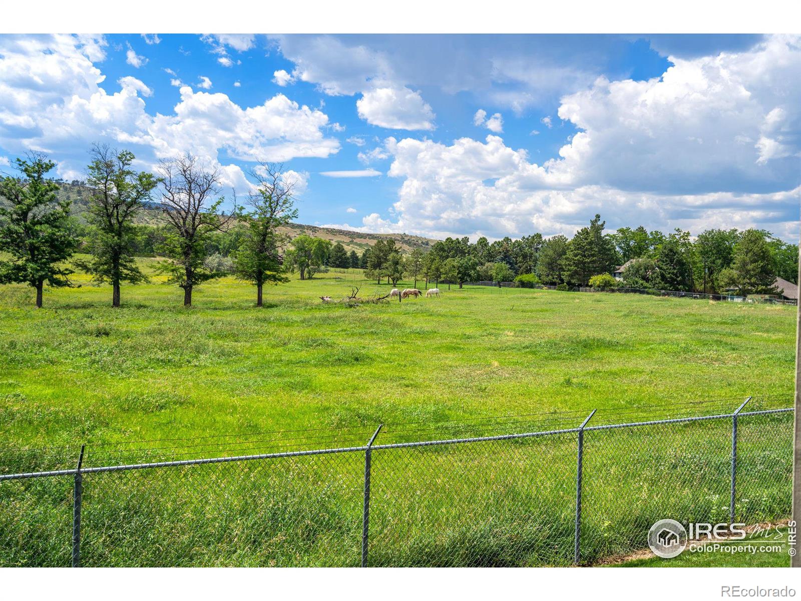 MLS Image #7 for 3200  azalea drive,fort collins, Colorado