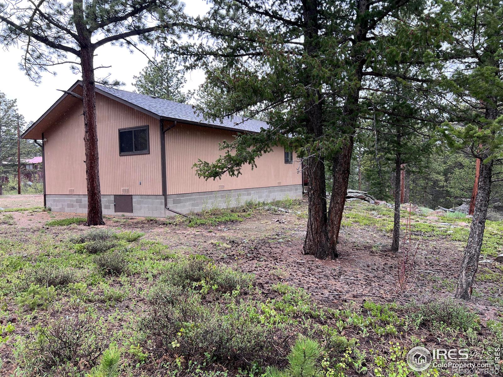 MLS Image #2 for 413  monoma road,red feather lakes, Colorado