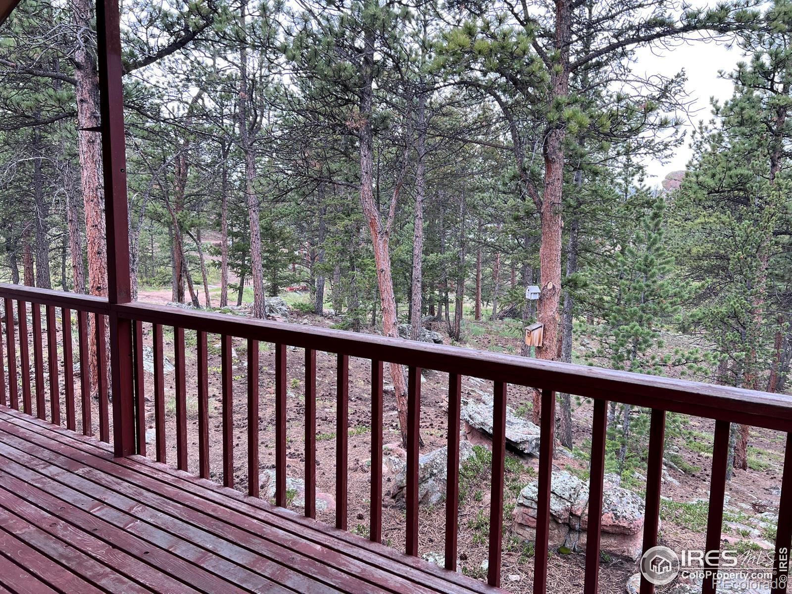 MLS Image #24 for 413  monoma road,red feather lakes, Colorado