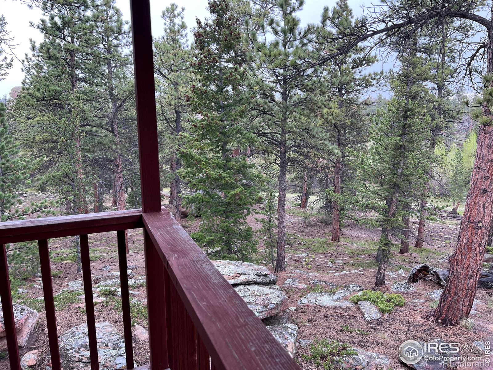 MLS Image #25 for 413  monoma road,red feather lakes, Colorado