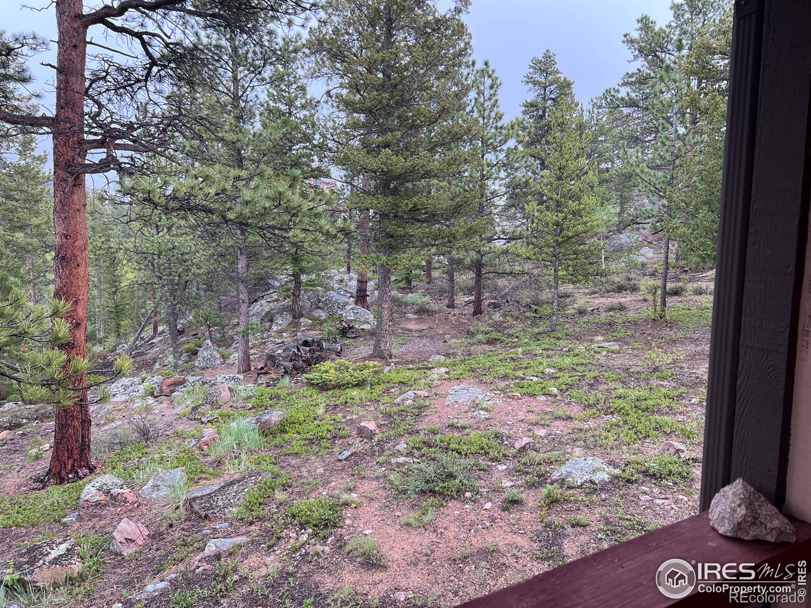 MLS Image #3 for 413  monoma road,red feather lakes, Colorado