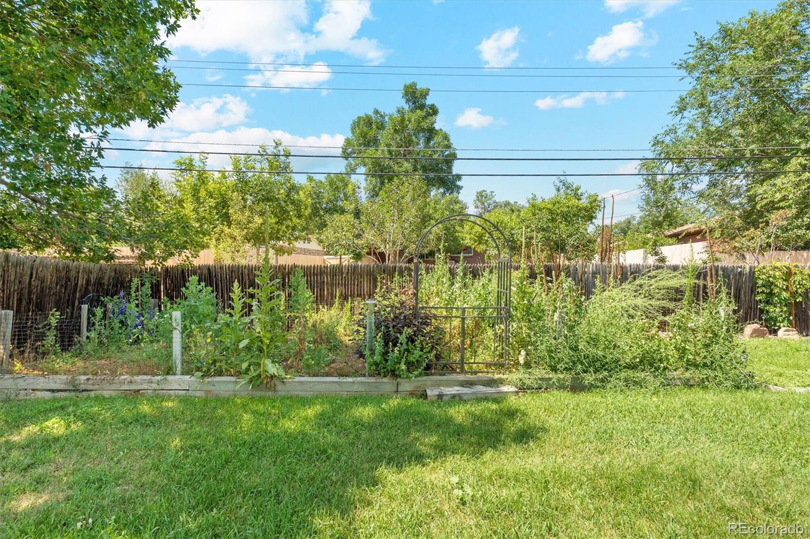 MLS Image #3 for 3549 w alamo place,littleton, Colorado