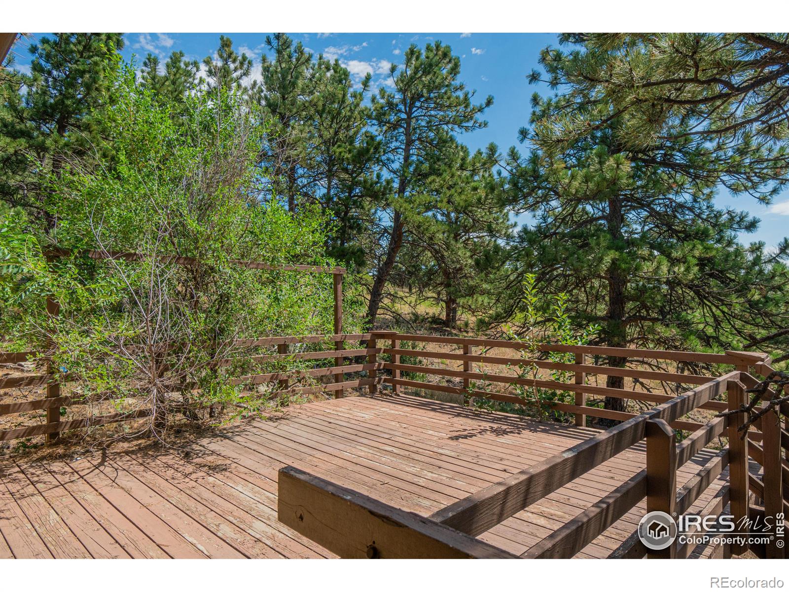 MLS Image #20 for 631  eagle ridge road,longmont, Colorado