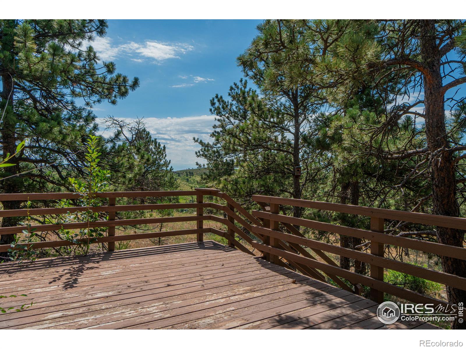 MLS Image #21 for 631  eagle ridge road,longmont, Colorado