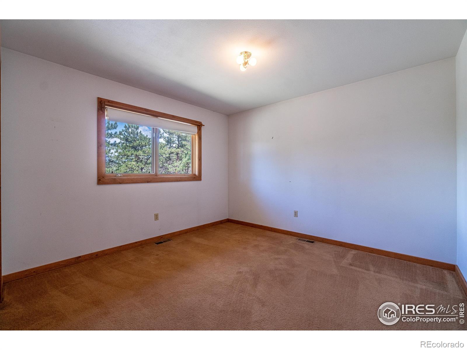 MLS Image #28 for 631  eagle ridge road,longmont, Colorado