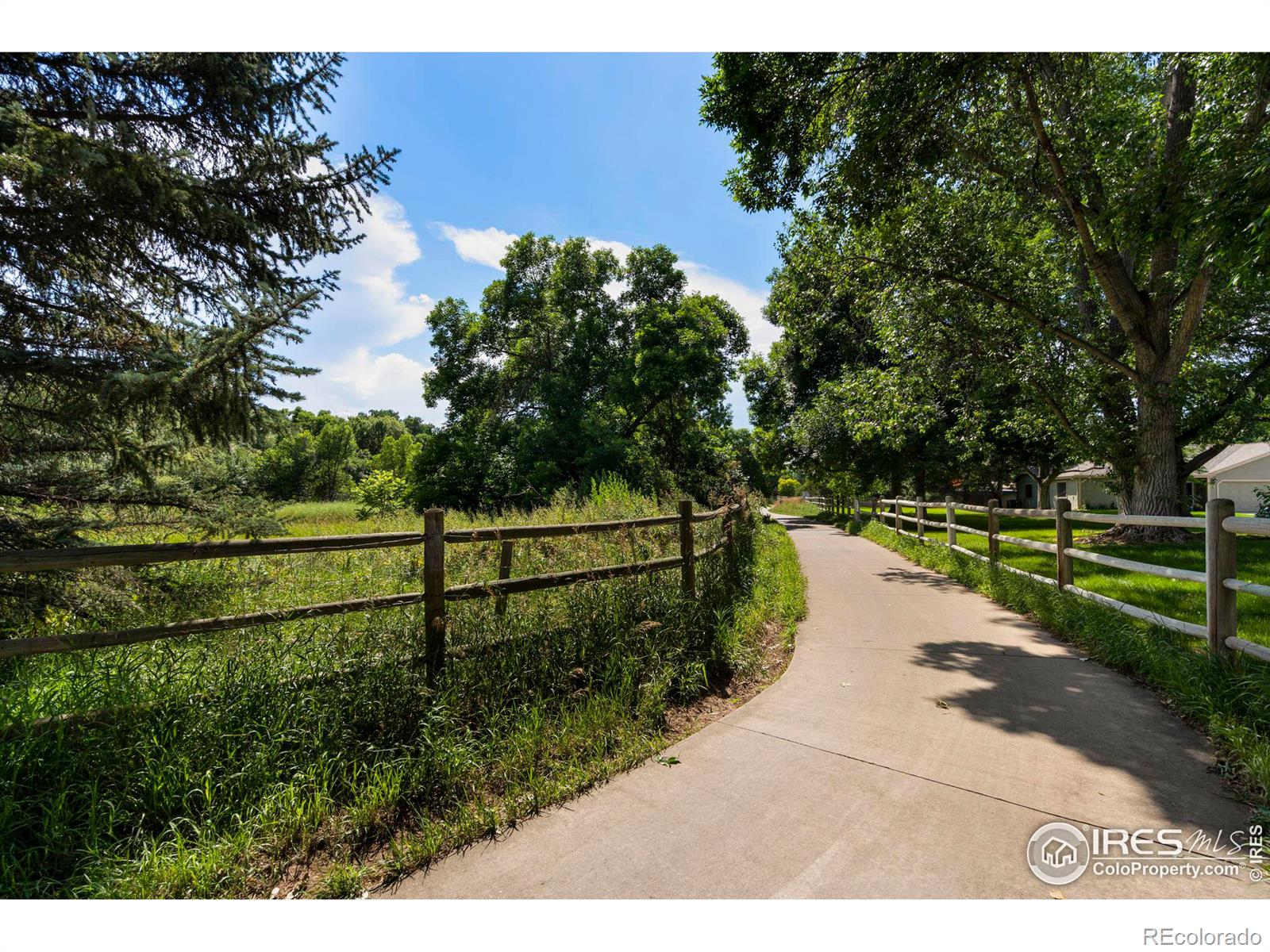 MLS Image #18 for 935 e prospect road,fort collins, Colorado