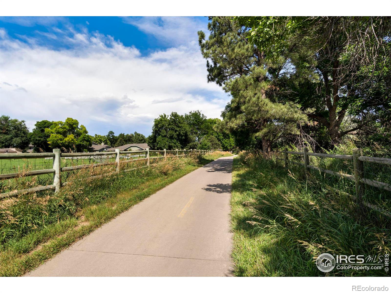 MLS Image #20 for 935 e prospect road,fort collins, Colorado