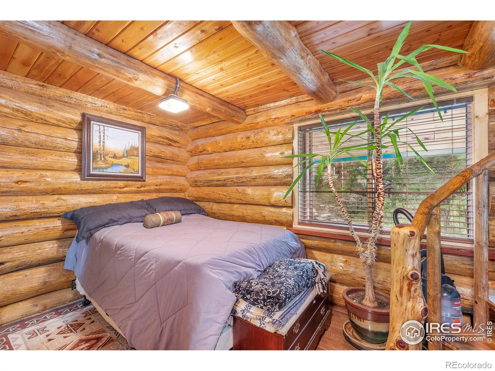 MLS Image #14 for 206  waltonia river court,drake, Colorado