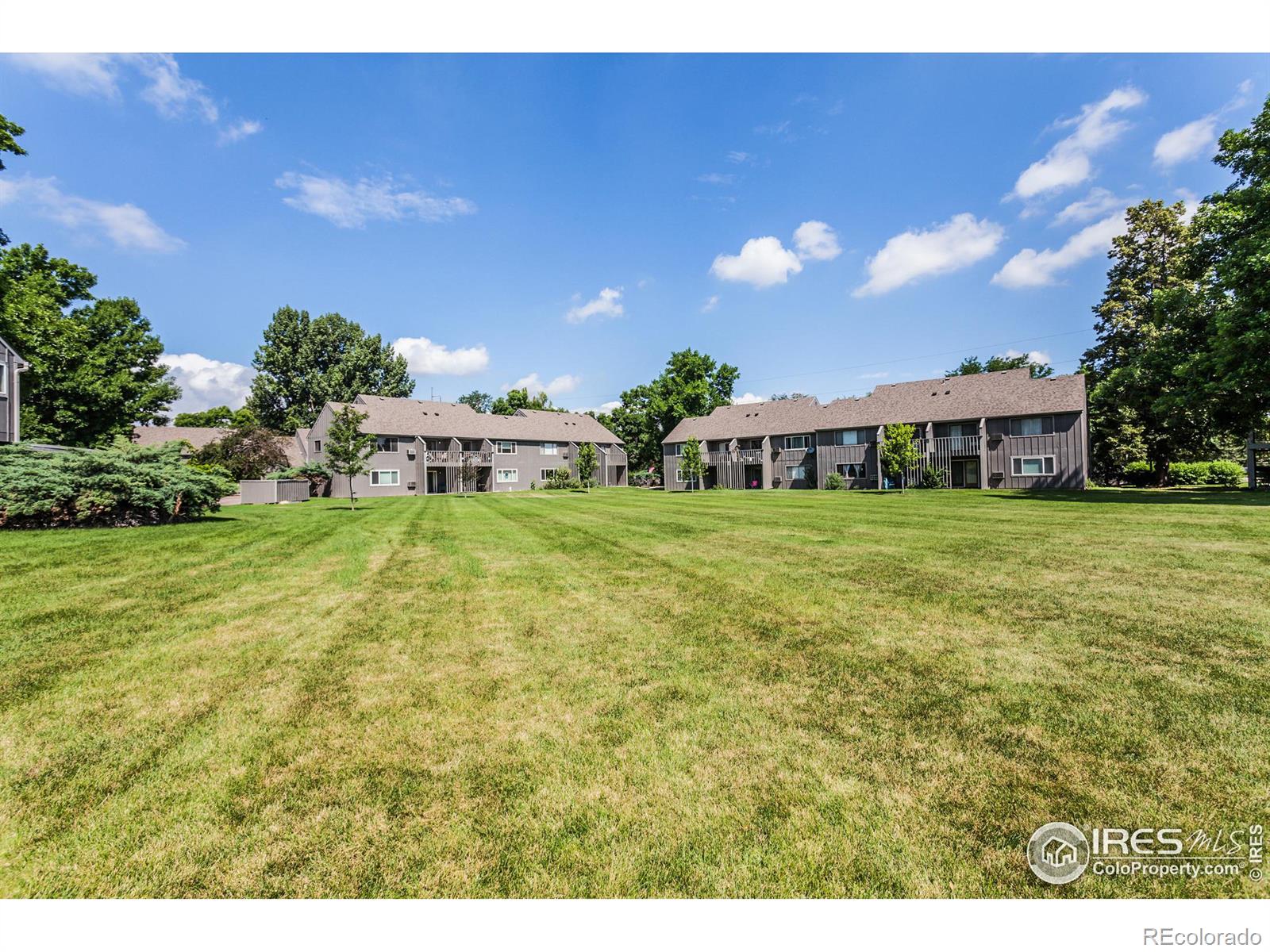 MLS Image #30 for 801 e drake road,fort collins, Colorado