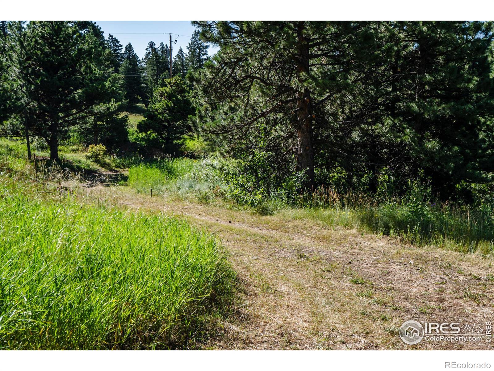 MLS Image #25 for 5200  sugarloaf road,boulder, Colorado