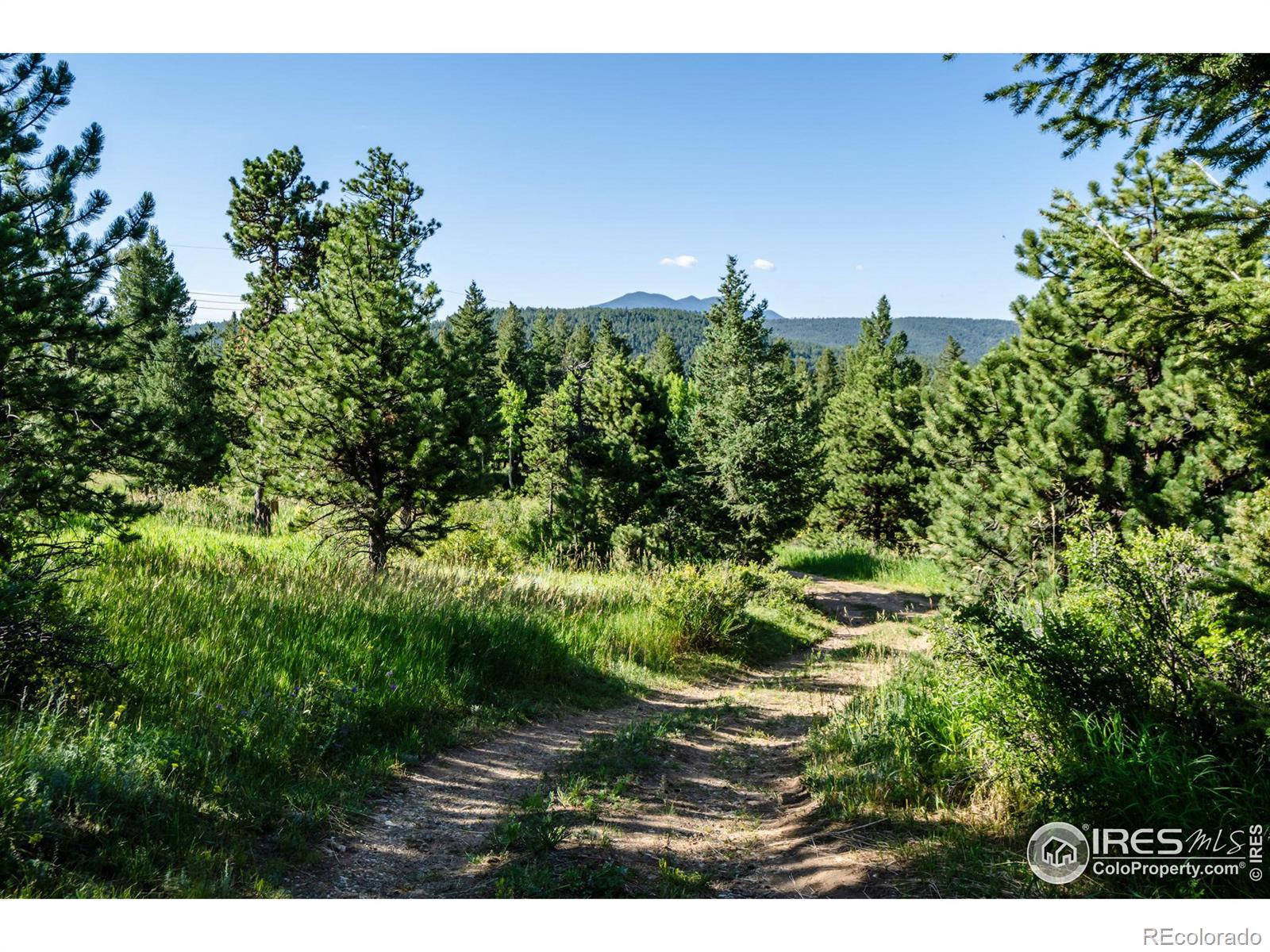 MLS Image #26 for 5200  sugarloaf road,boulder, Colorado