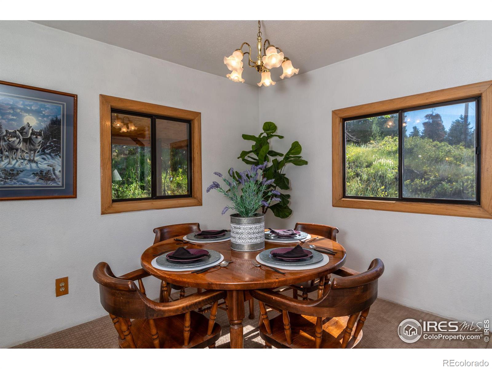 MLS Image #3 for 5200  sugarloaf road,boulder, Colorado