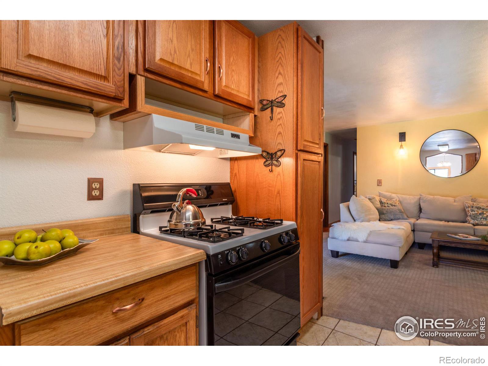 MLS Image #7 for 5200  sugarloaf road,boulder, Colorado