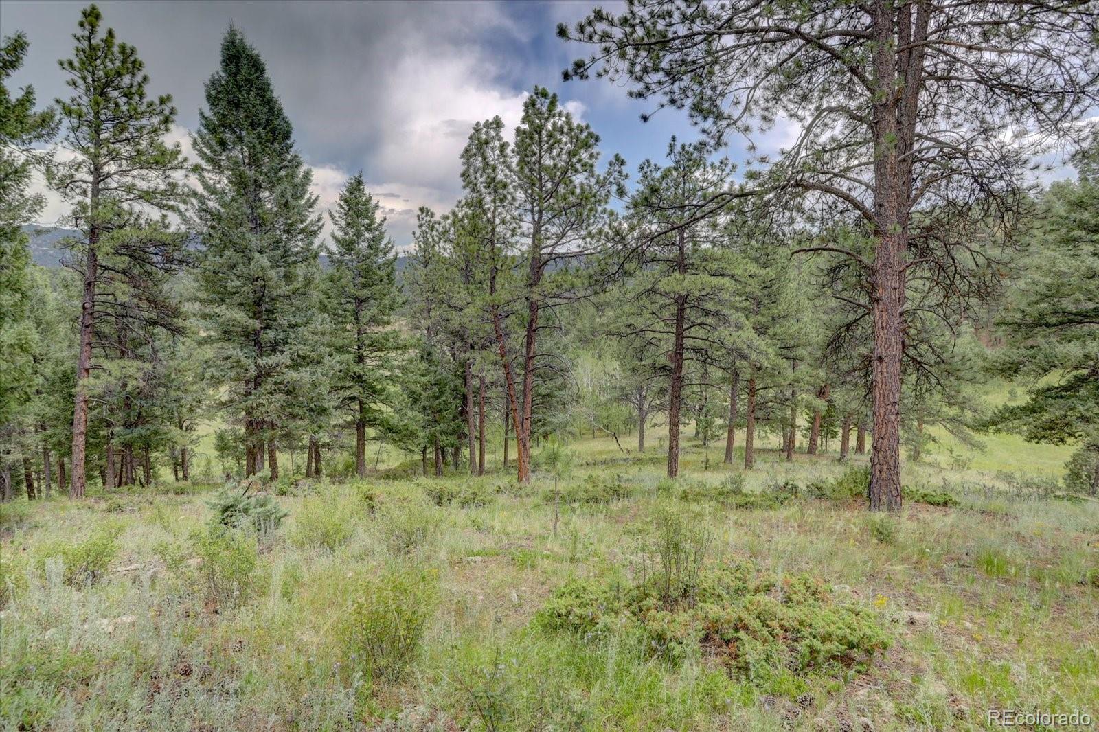 MLS Image #37 for 13662  douglas ranch drive,pine, Colorado