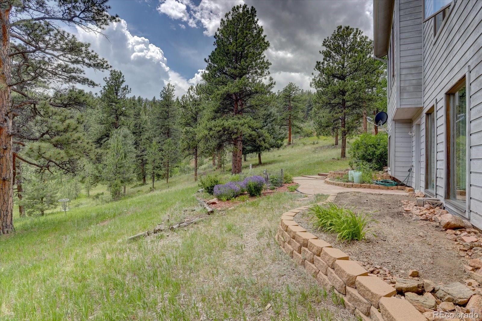 MLS Image #5 for 13662  douglas ranch drive,pine, Colorado