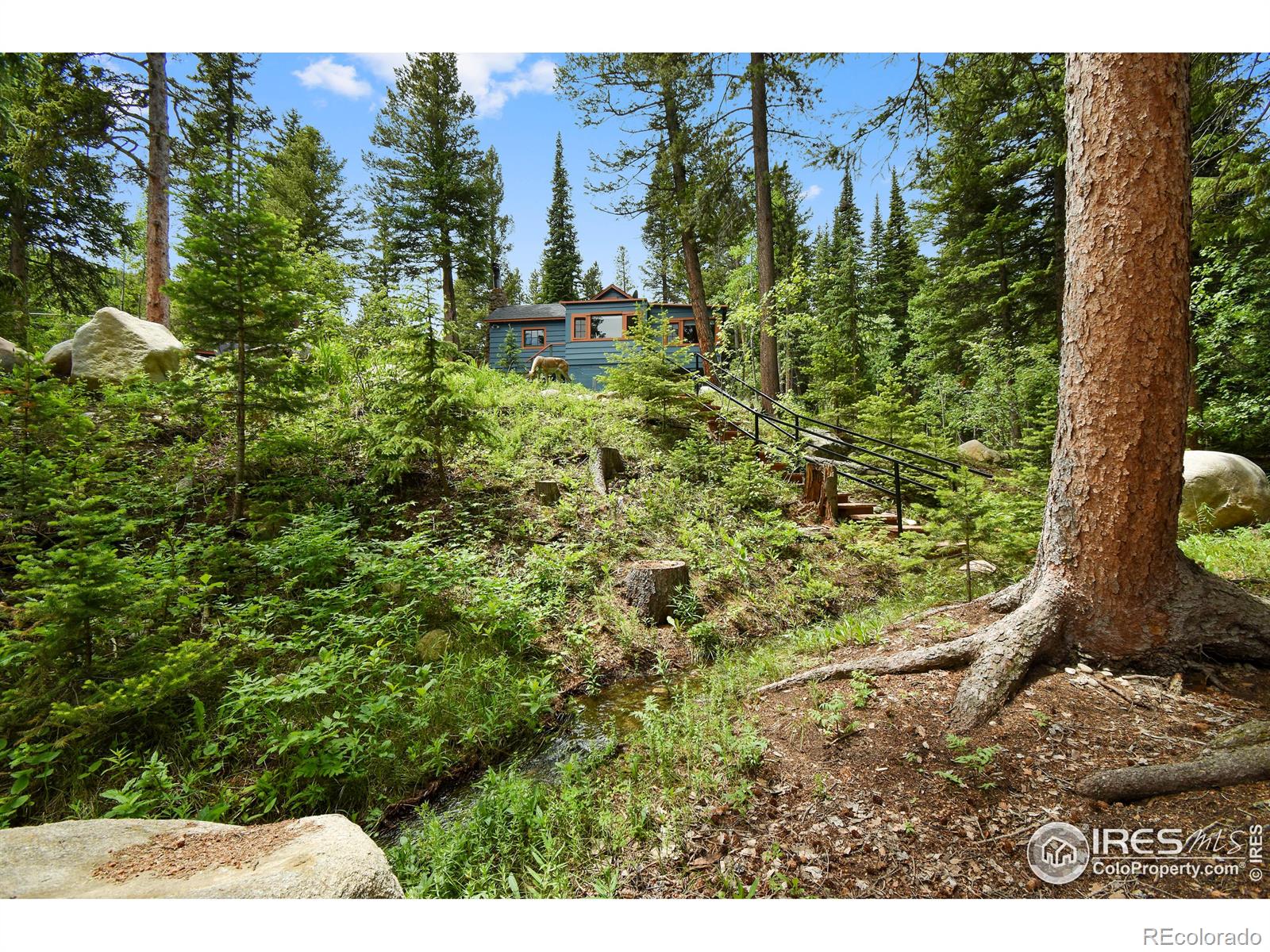 MLS Image #27 for 103  peaceful valley road,lyons, Colorado