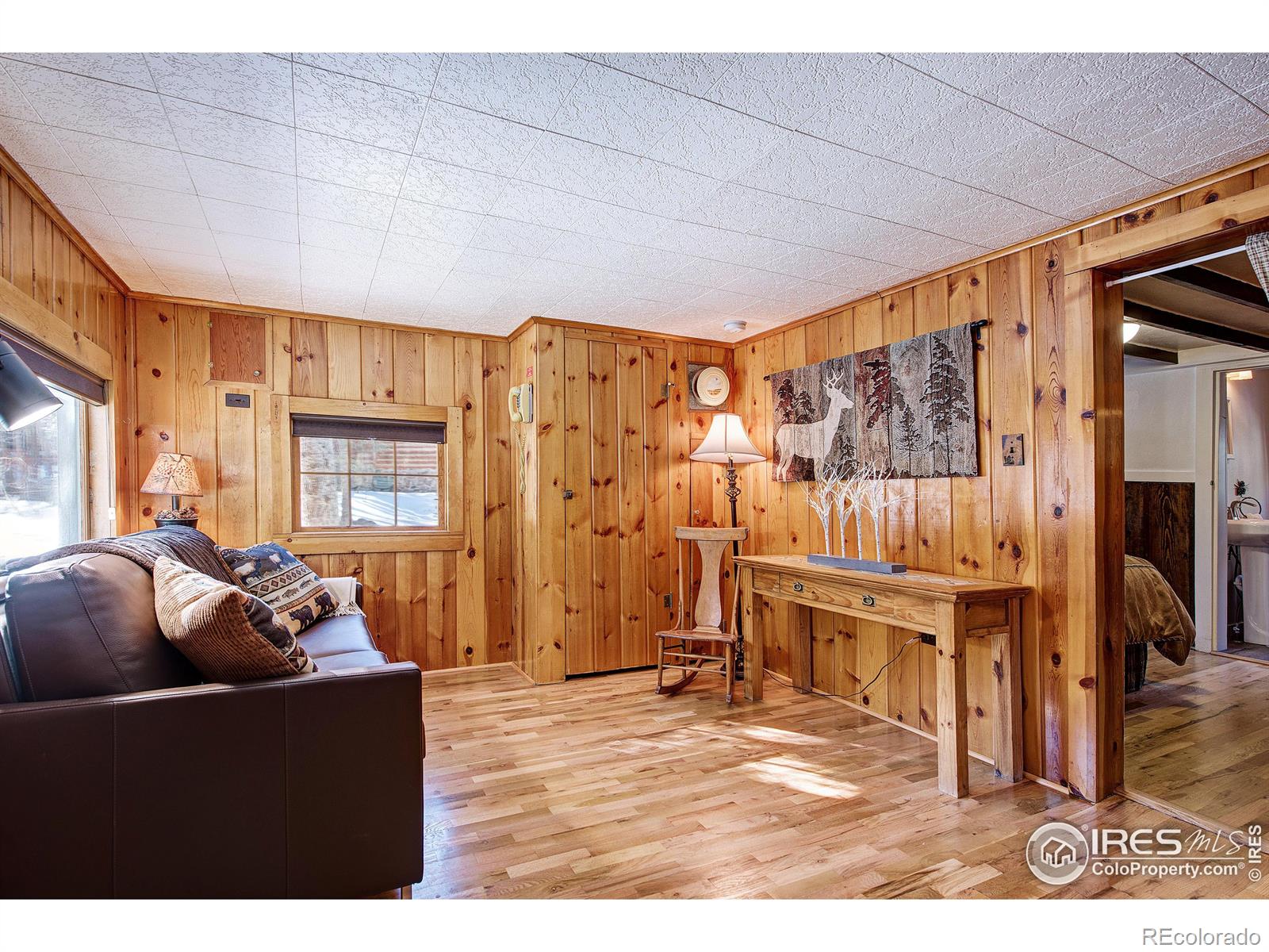 MLS Image #3 for 103  peaceful valley road,lyons, Colorado