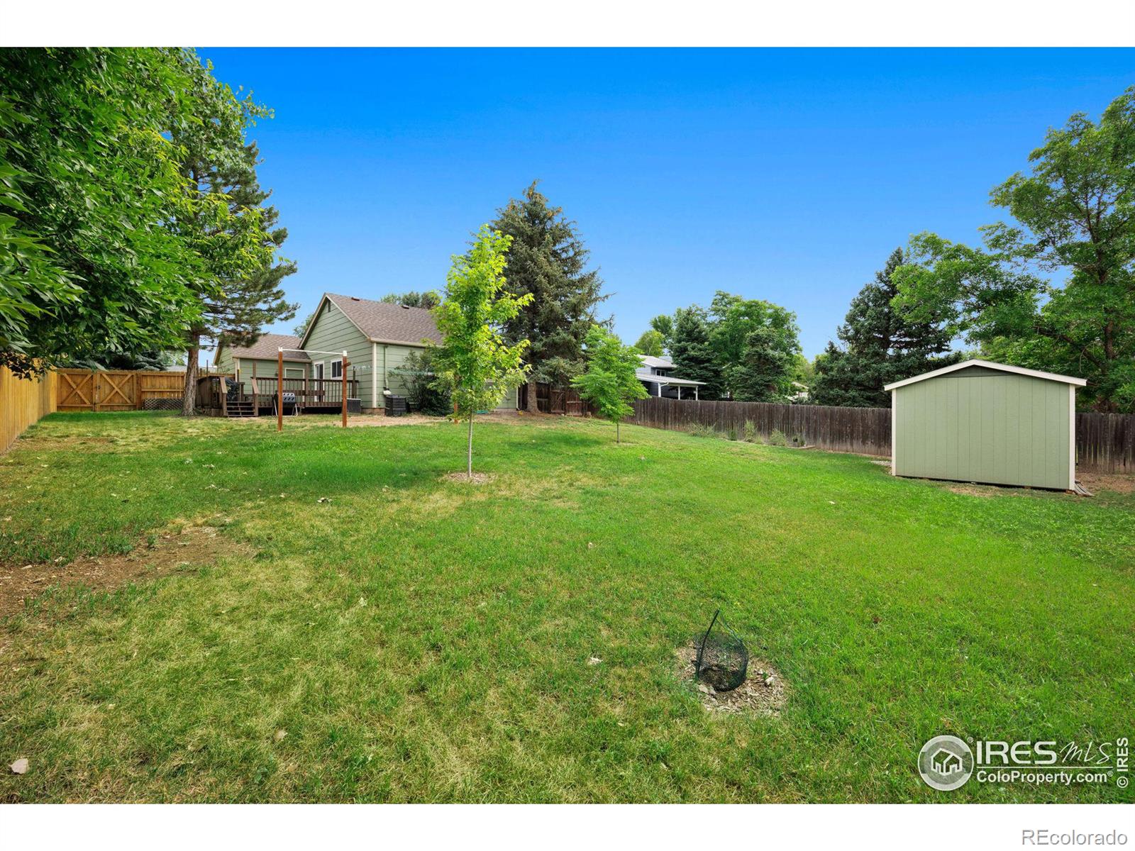 MLS Image #14 for 513  towhee street,fort collins, Colorado