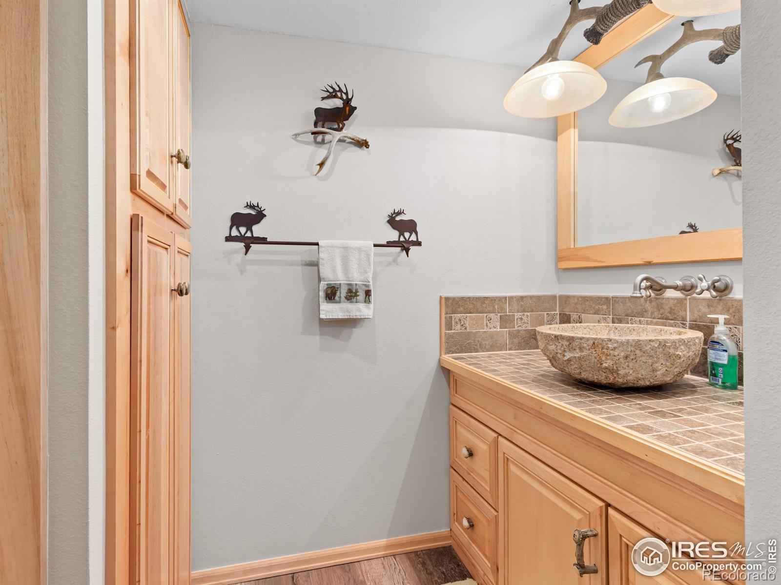 MLS Image #11 for 243  waltonia road,drake, Colorado