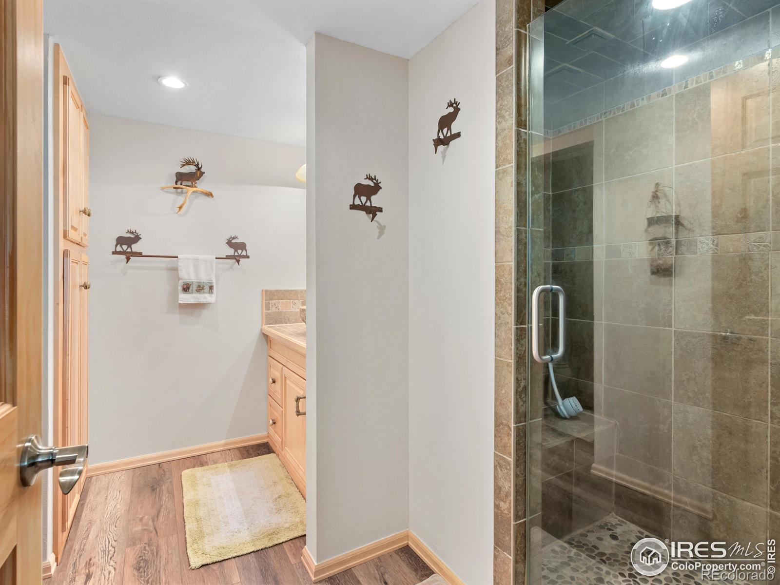 MLS Image #12 for 243  waltonia road,drake, Colorado