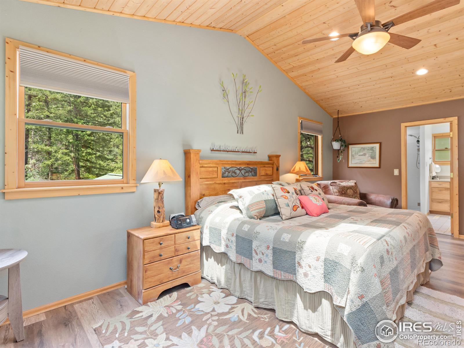 MLS Image #16 for 243  waltonia road,drake, Colorado