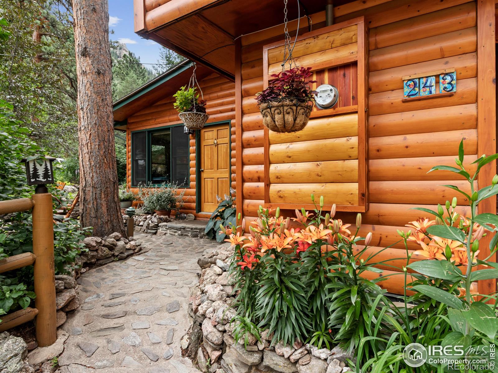 MLS Image #22 for 243  waltonia road,drake, Colorado