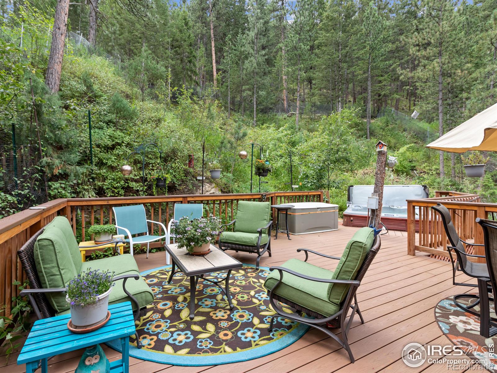 MLS Image #27 for 243  waltonia road,drake, Colorado