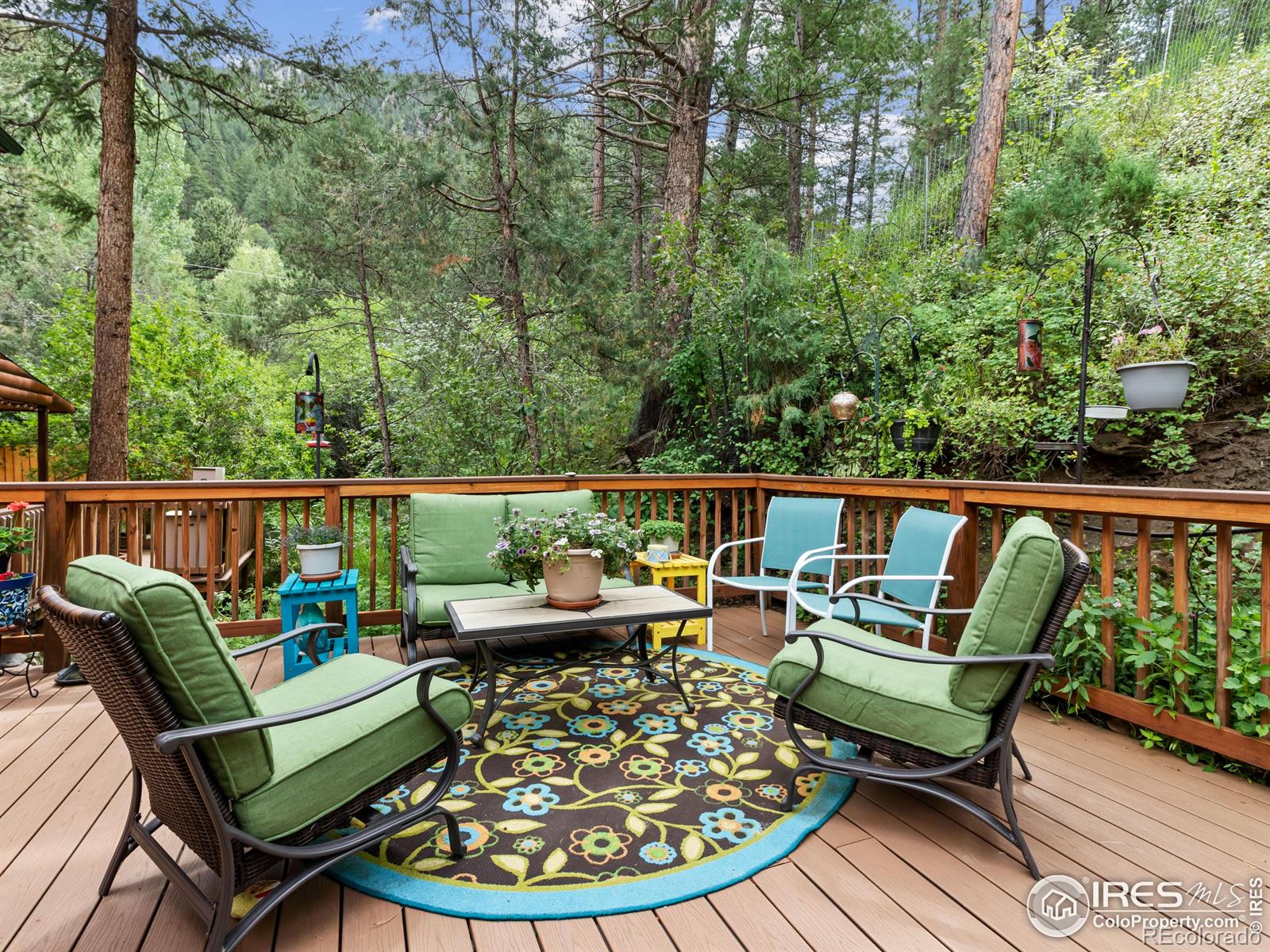 MLS Image #29 for 243  waltonia road,drake, Colorado