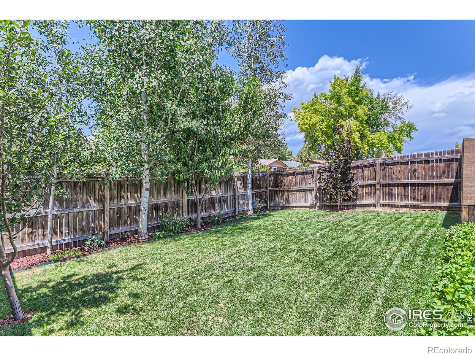 MLS Image #12 for 2027  terry street,longmont, Colorado