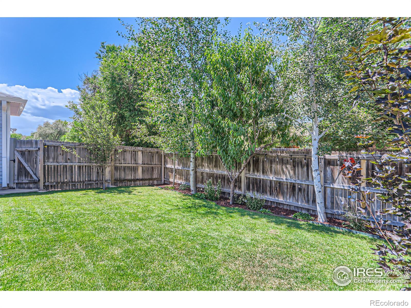 MLS Image #13 for 2027  terry street,longmont, Colorado