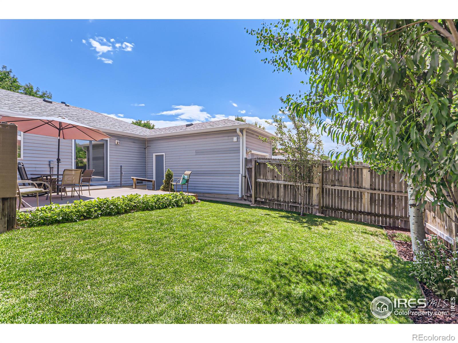 MLS Image #14 for 2027  terry street,longmont, Colorado