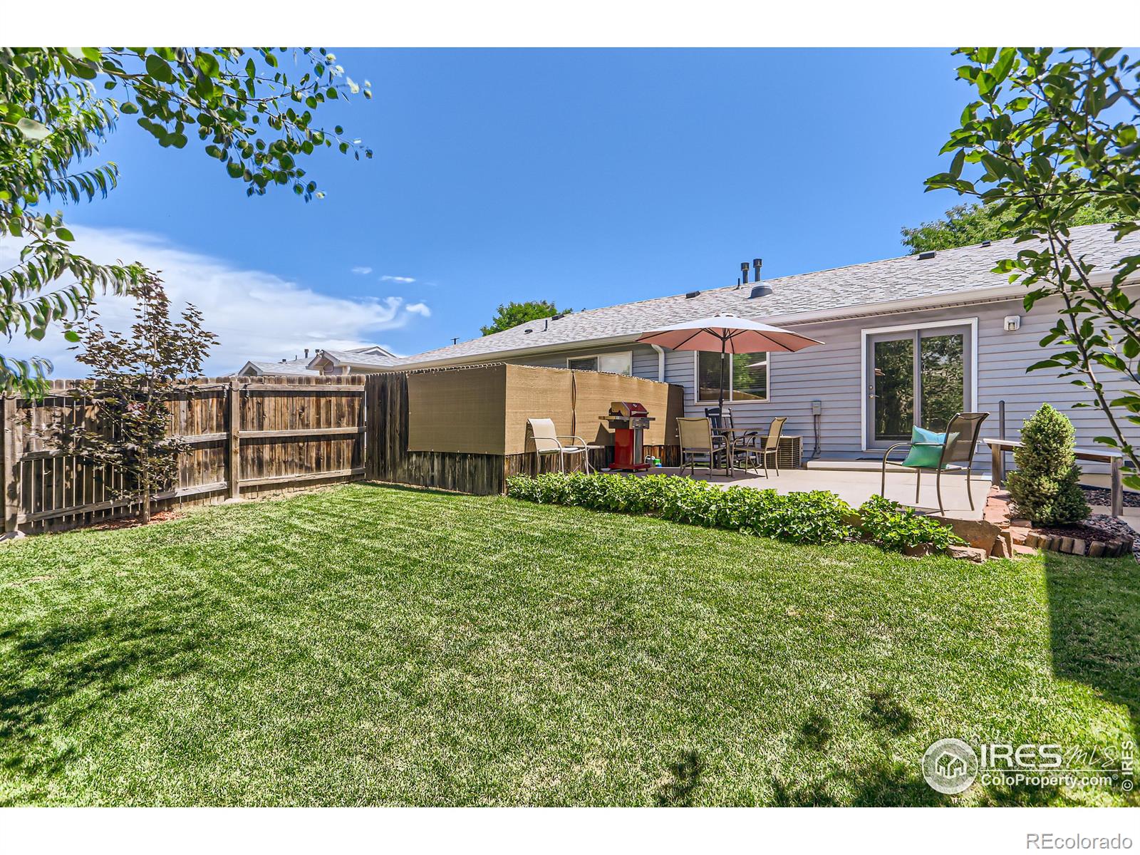 MLS Image #15 for 2027  terry street,longmont, Colorado