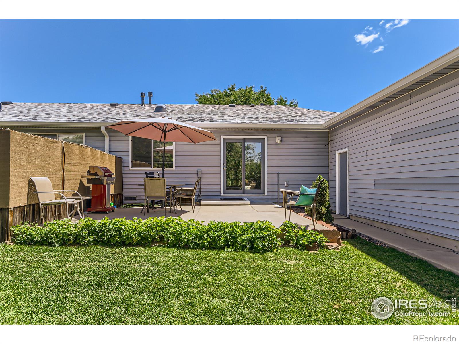 MLS Image #16 for 2027  terry street,longmont, Colorado