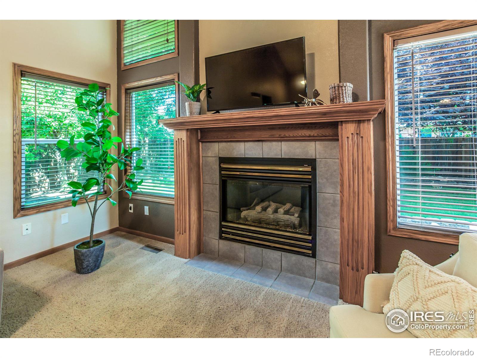 MLS Image #11 for 2942  indigo circle,fort collins, Colorado