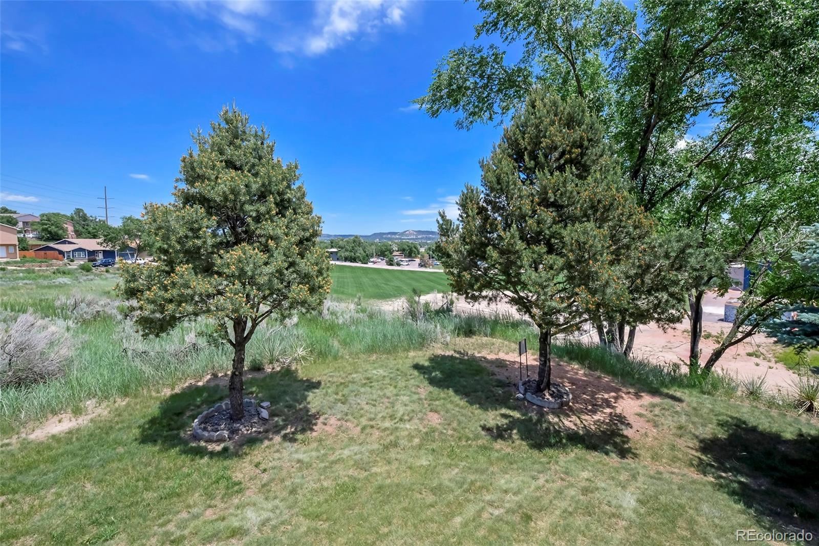 MLS Image #3 for 2611  plumtree grove,colorado springs, Colorado