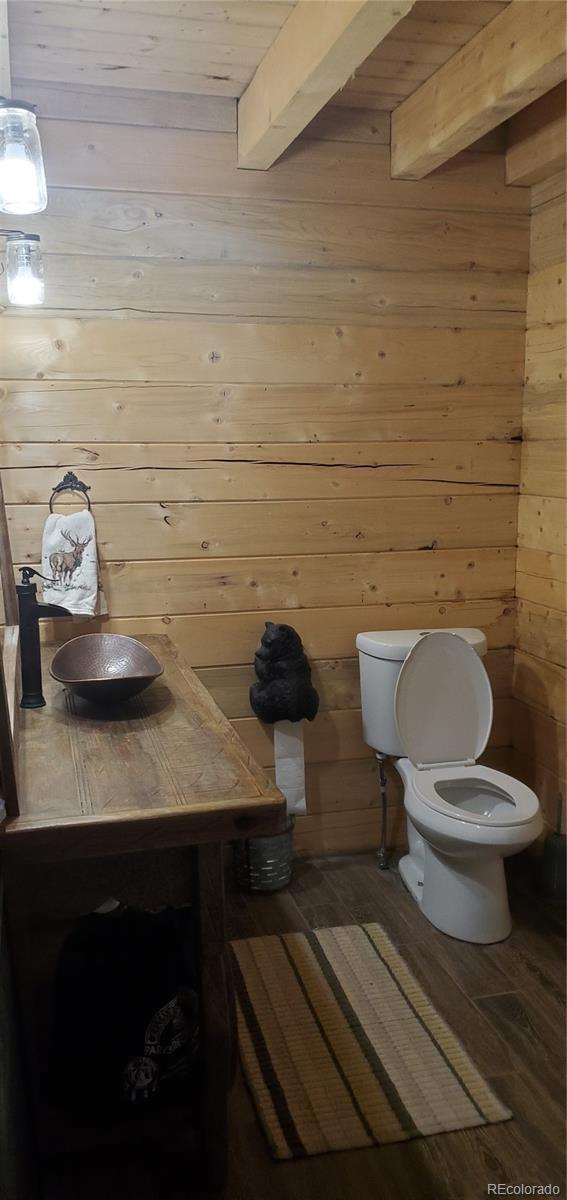 MLS Image #11 for 6507  moose road,fort garland, Colorado