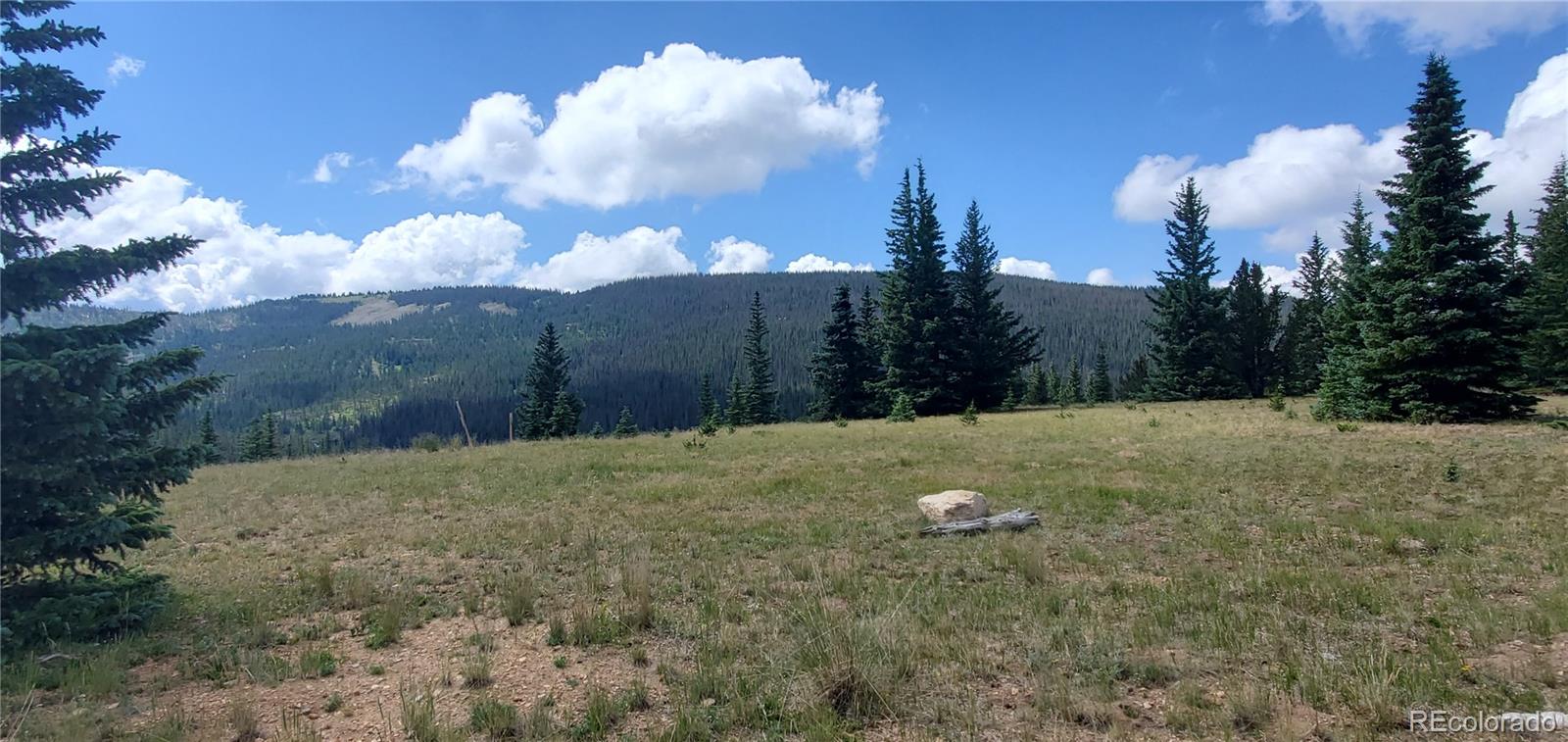 MLS Image #5 for 6507  moose road,fort garland, Colorado