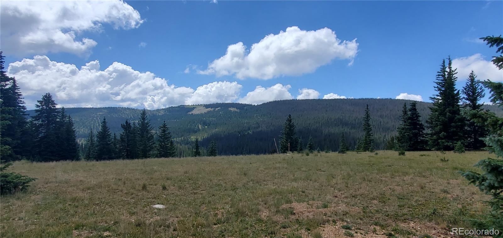 MLS Image #6 for 6507  moose road,fort garland, Colorado