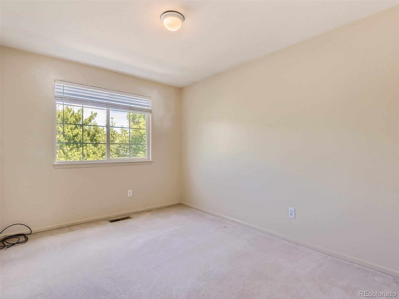 MLS Image #15 for 10438  cheetah winds ,littleton, Colorado