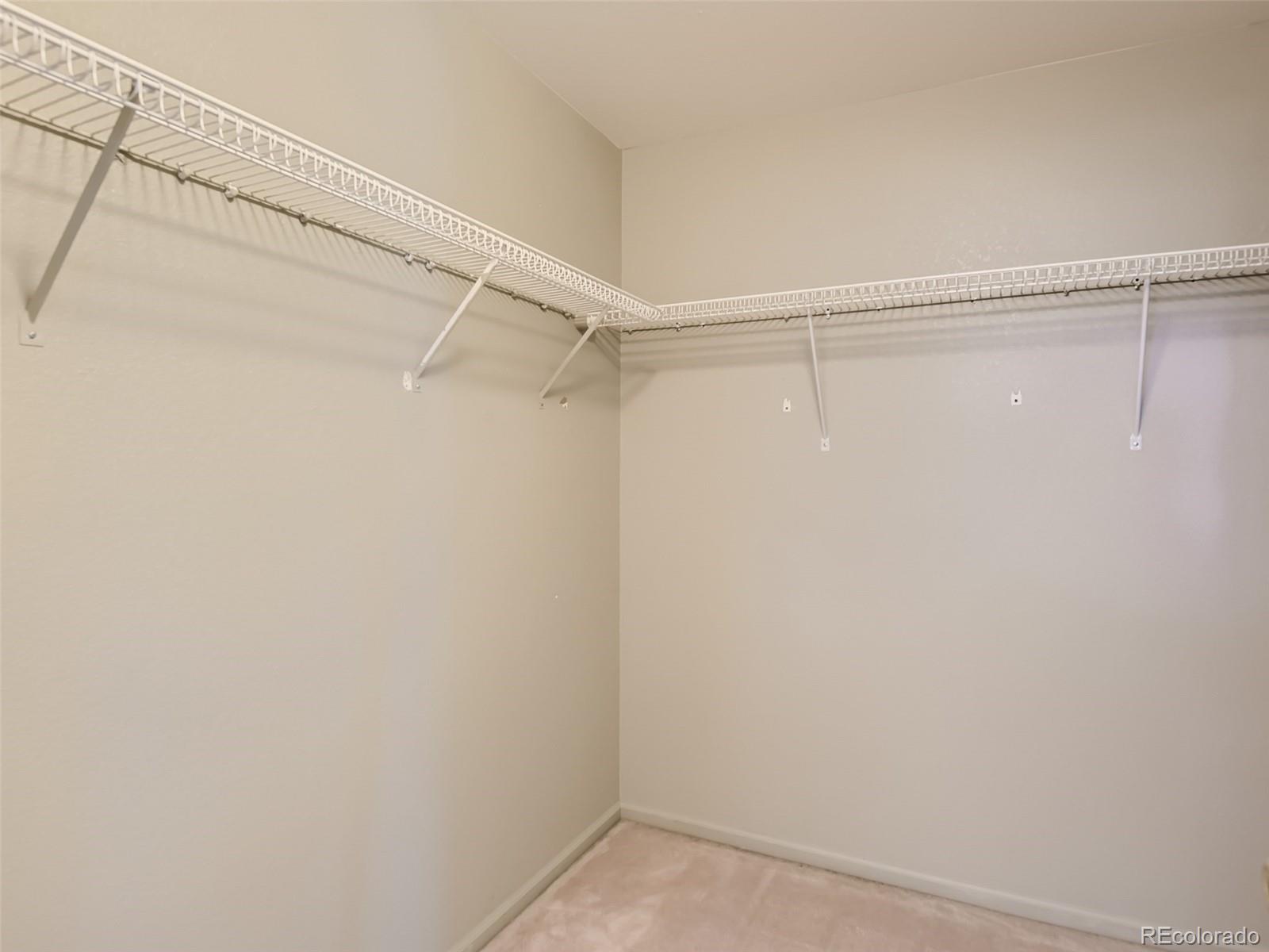 MLS Image #17 for 10438  cheetah winds ,littleton, Colorado