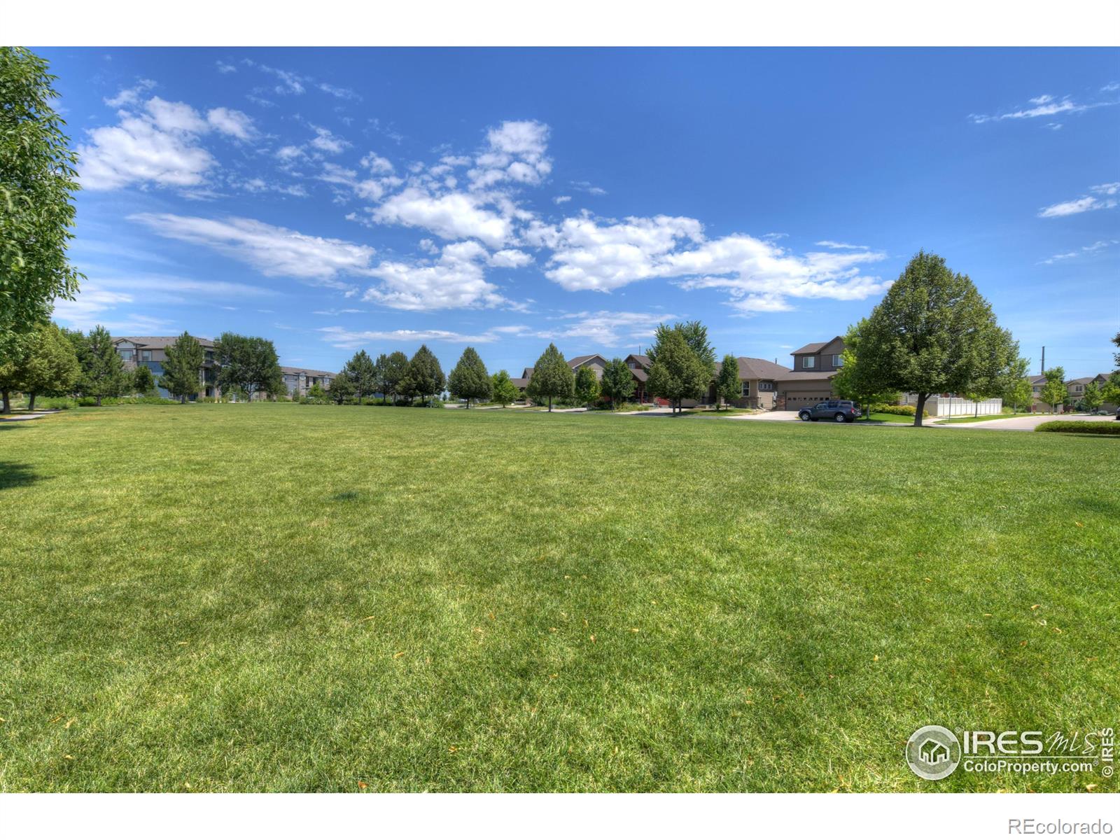 MLS Image #23 for 1436  moonlight drive,longmont, Colorado