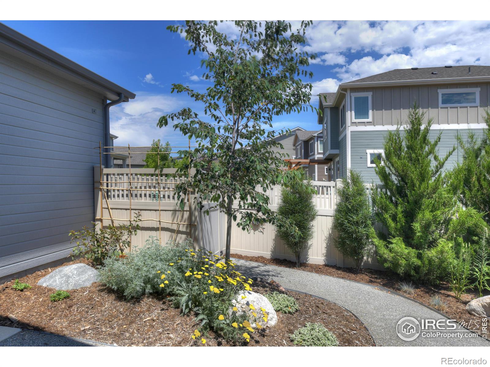 MLS Image #26 for 1436  moonlight drive,longmont, Colorado