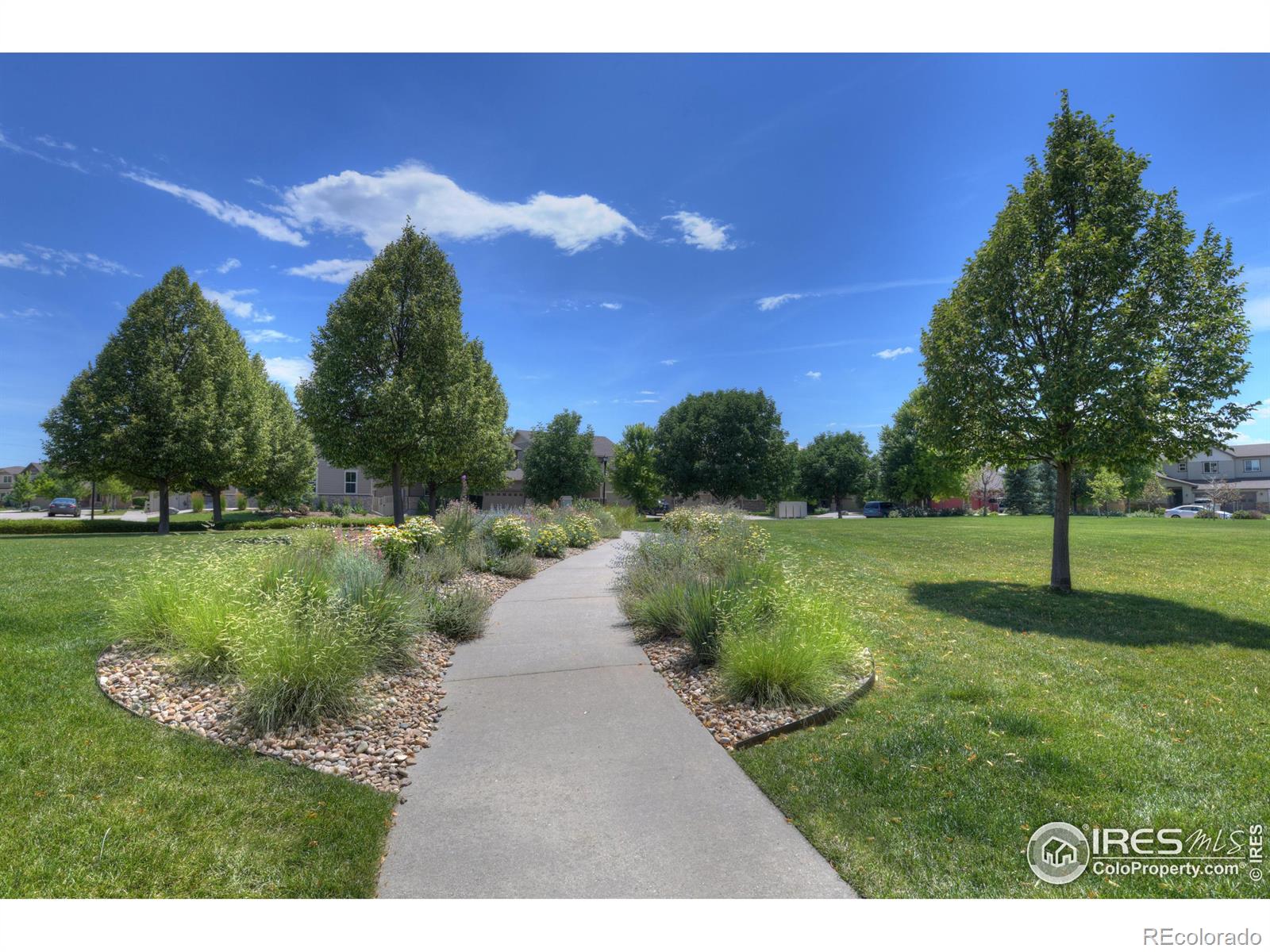 MLS Image #27 for 1436  moonlight drive,longmont, Colorado