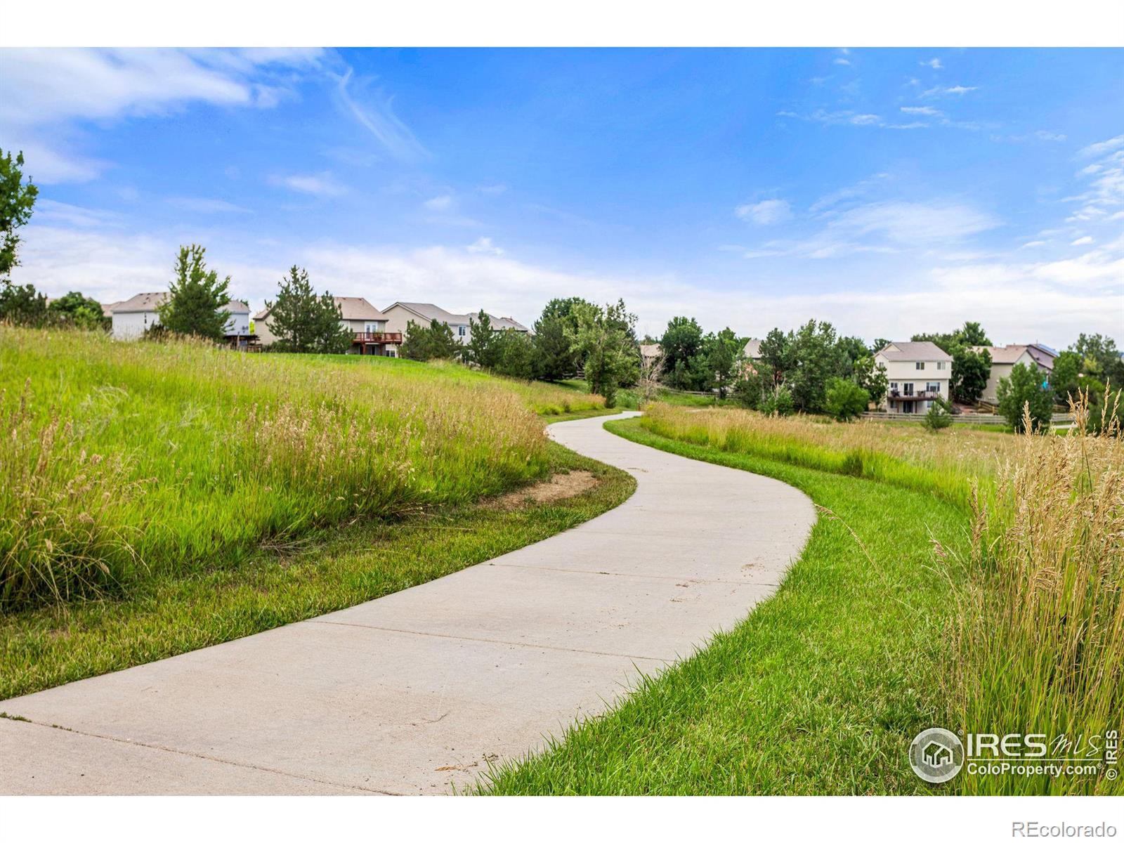 MLS Image #37 for 1416  begonia way,superior, Colorado